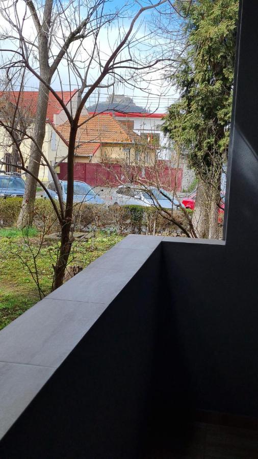 Central Studio 1 - Apartament 2 Camere Дева Экстерьер фото